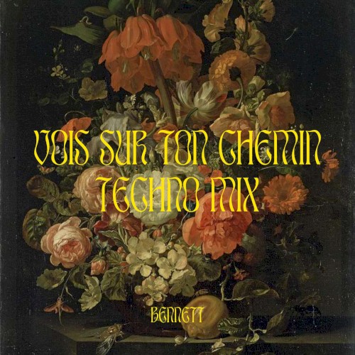Vois Sur Ton Chemin