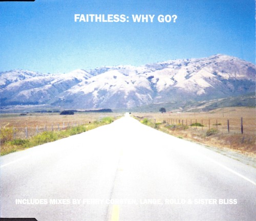 Why Go?