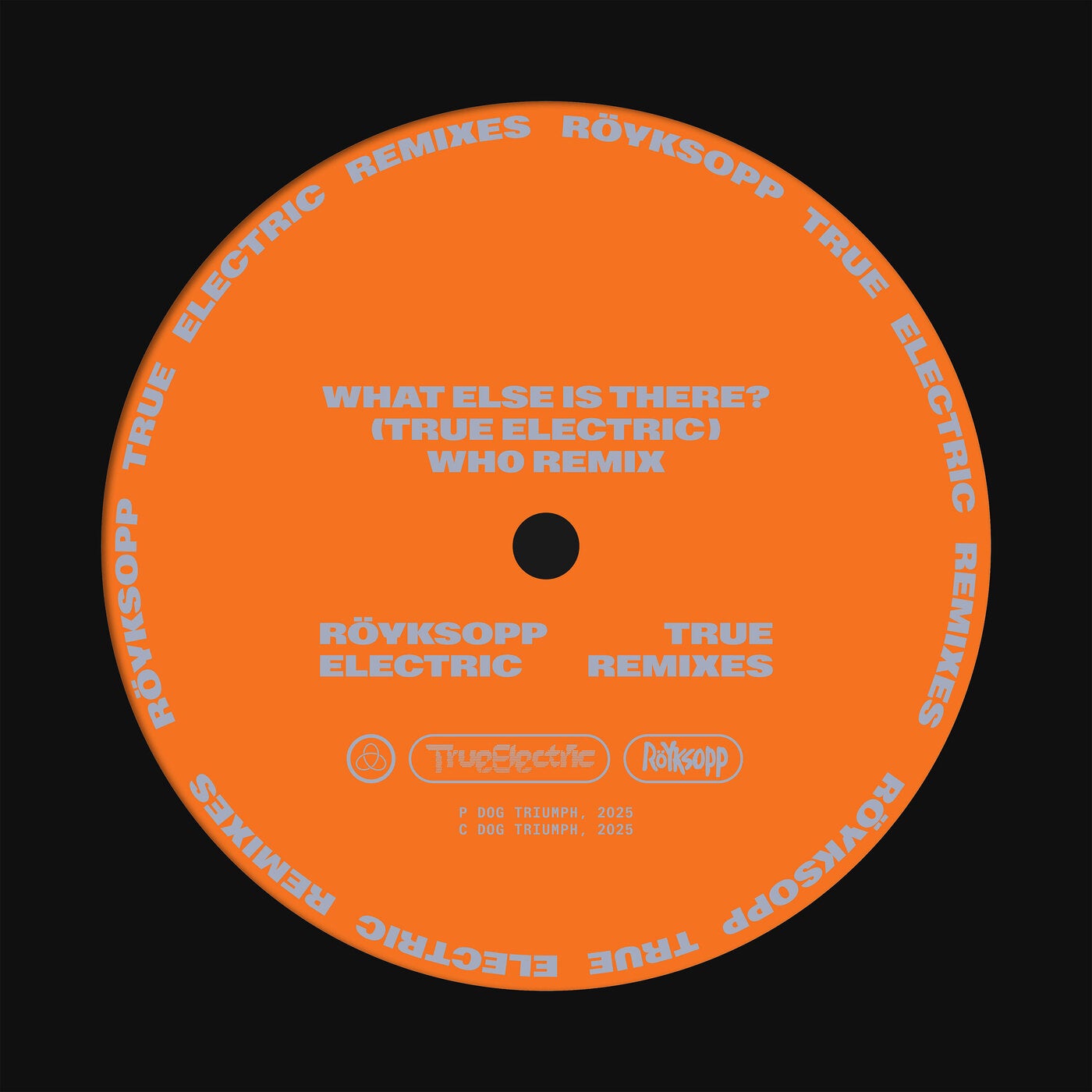 What Else Is There? (feat. Fever Ray)