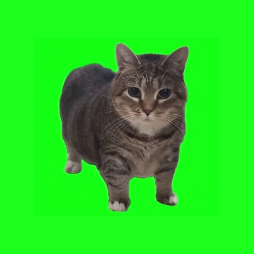 W&W - OIIA OIIA (Spinning Cat) [Rave Culture]