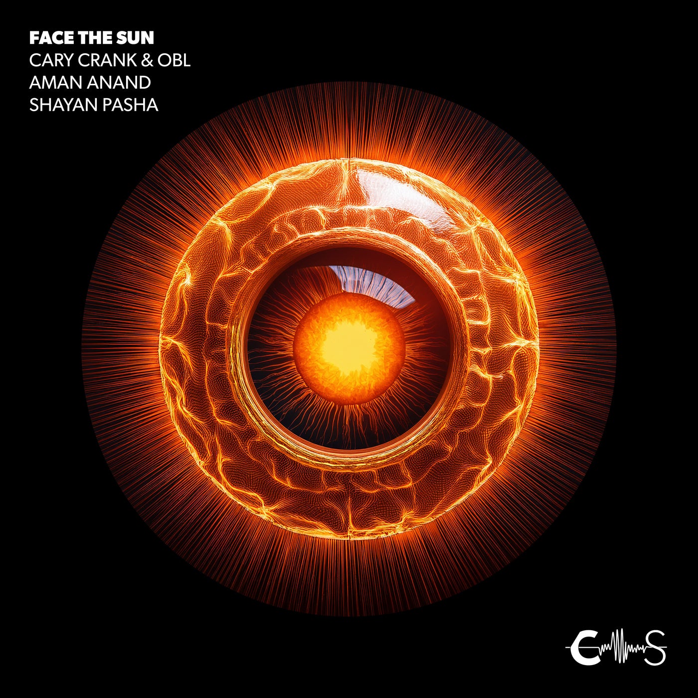 Face the Sun