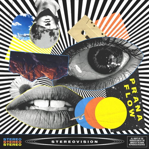 Stereovision