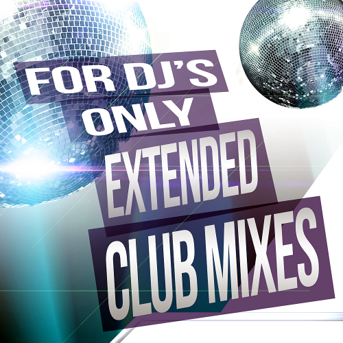 Partner in Crime (Extended Mix)