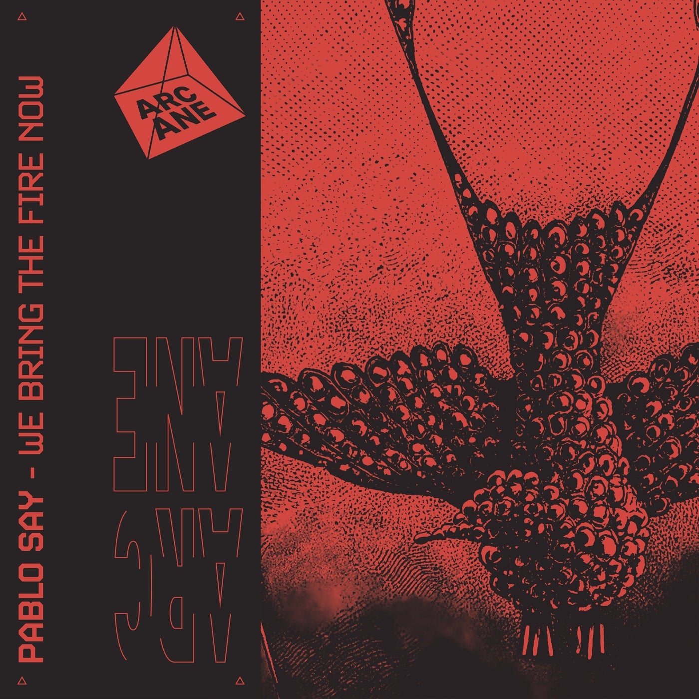 We Bring The Fire Now