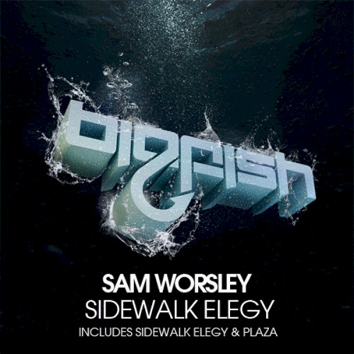 Sidewalk Elegy
