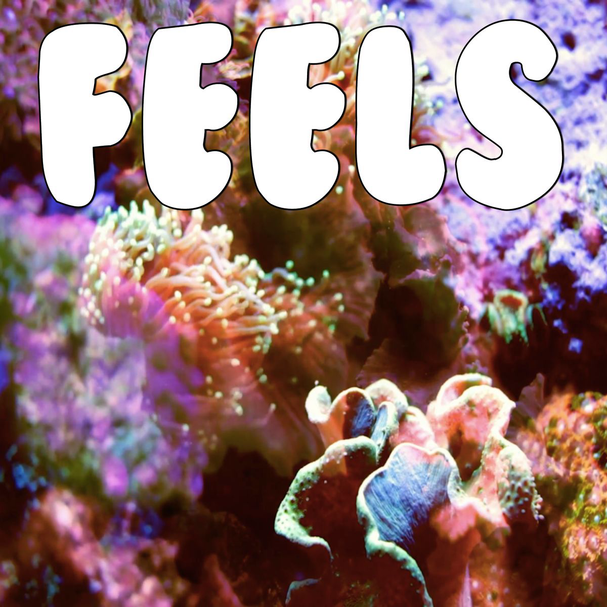 Don't Be Afraid To Catch Feels