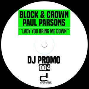 Lady You Bring Me Down - Extended Mix