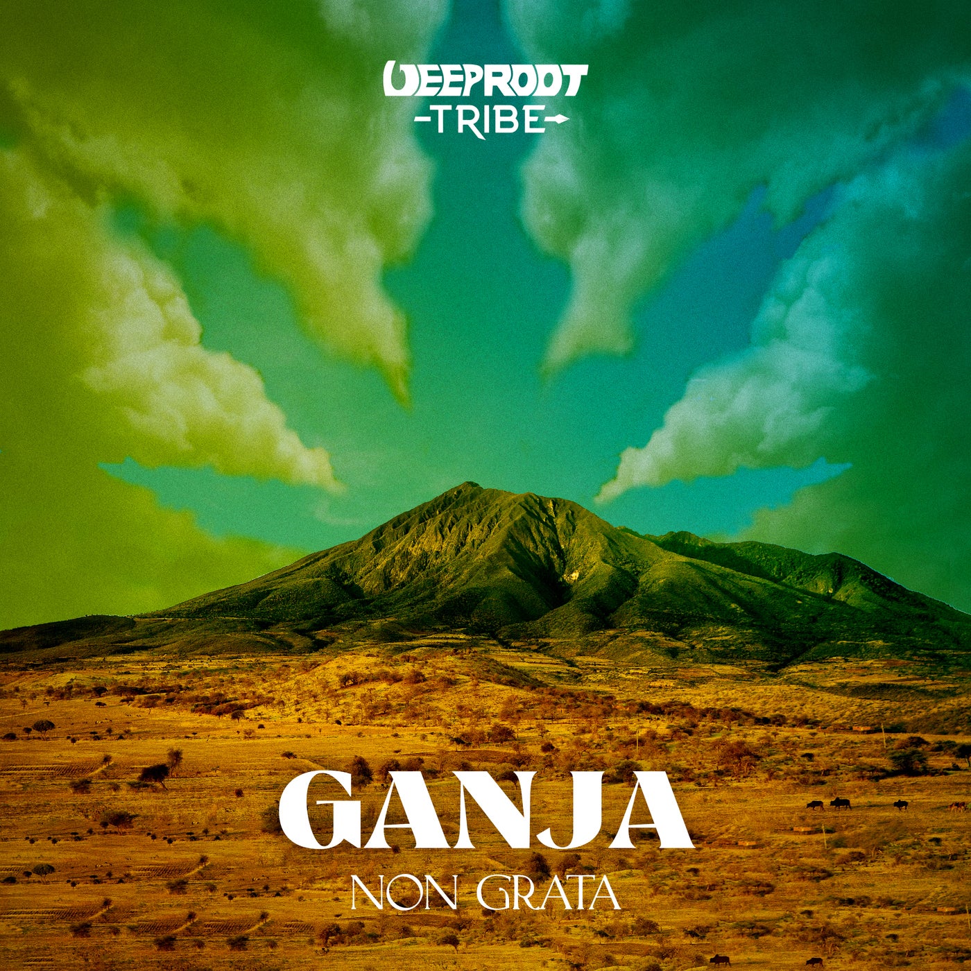 Ganja