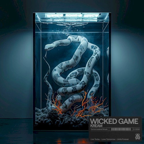 Wicked Game (Original Mix) [Tomorrowland Music]