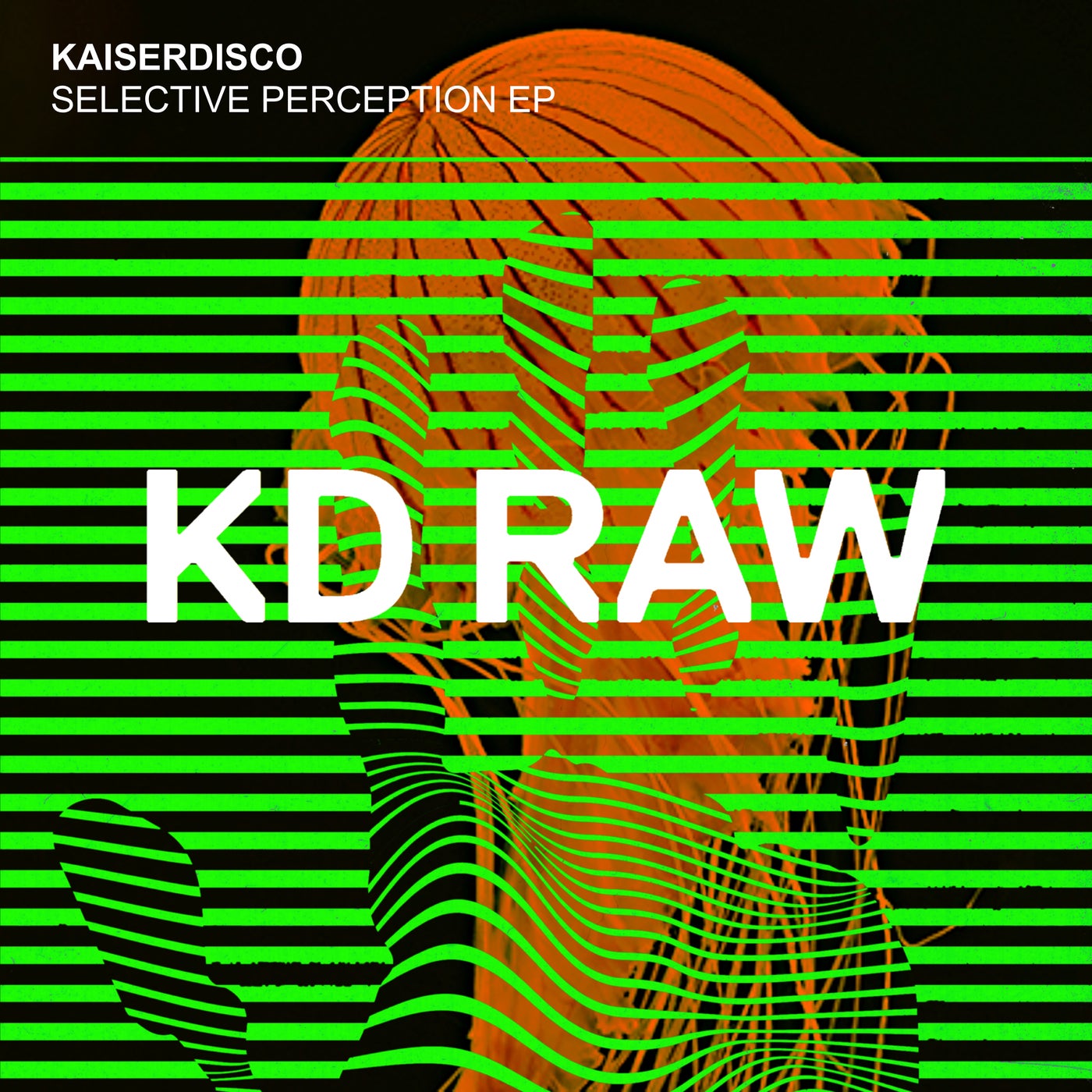 Selective Perception