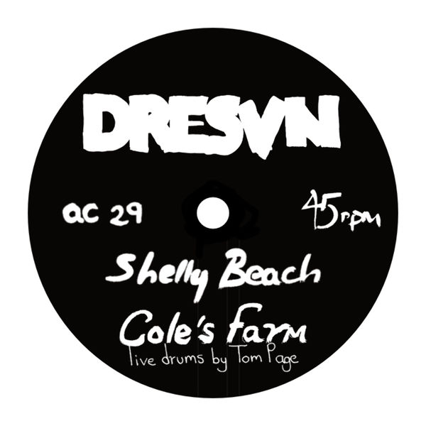 Shelly Beach