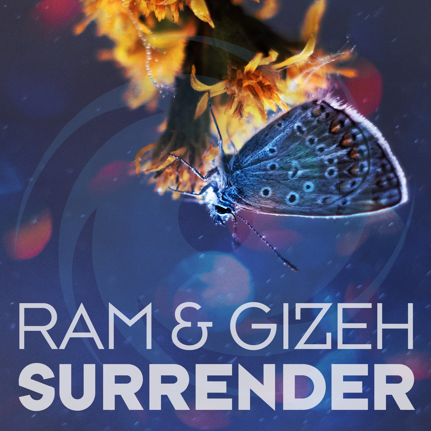 Surrender