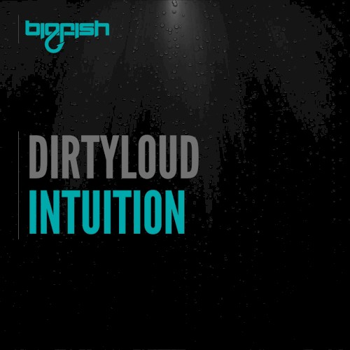 Intuition