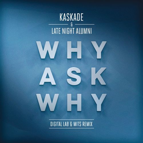 Why Ask Why