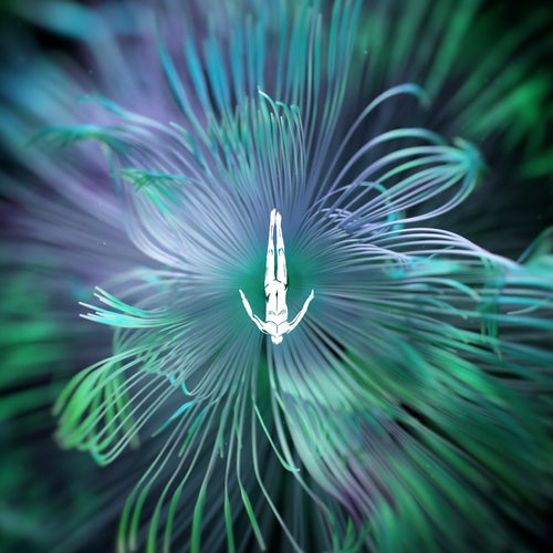 Reflected Wisdom - Five Phases Project (4/5)